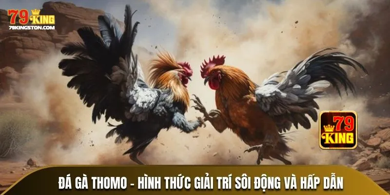 Bí kíp trăm trận trăm thắng trong đá gà trực tiếp thomo